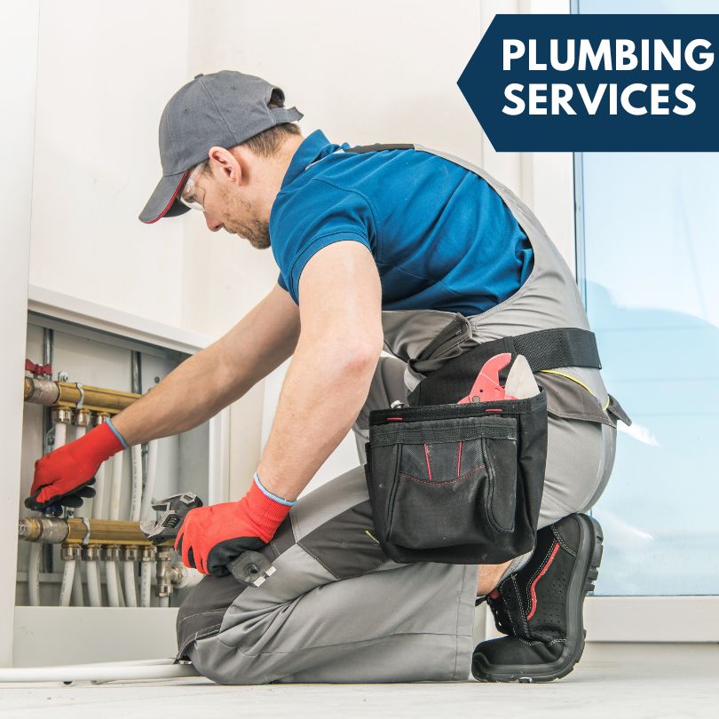 Louann Plumbing Company